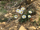 sIMG_0384.jpg