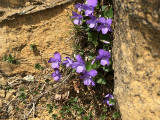 sIMG_0389.jpg