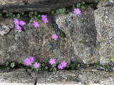 sIMG_0399.jpg