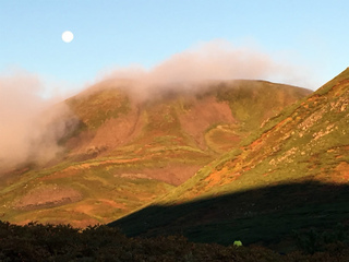 sIMG_6927.jpg