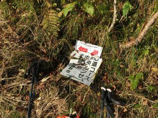 sIMG_7011.jpg