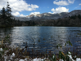 sIMG_7265.jpg