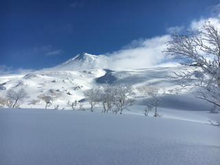 sIMG_8231.jpg