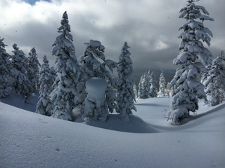sIMG_8238.jpg