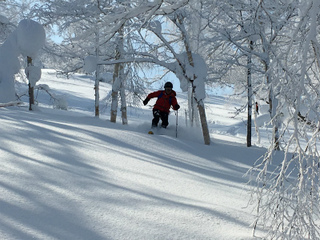 sIMG_8372.jpg